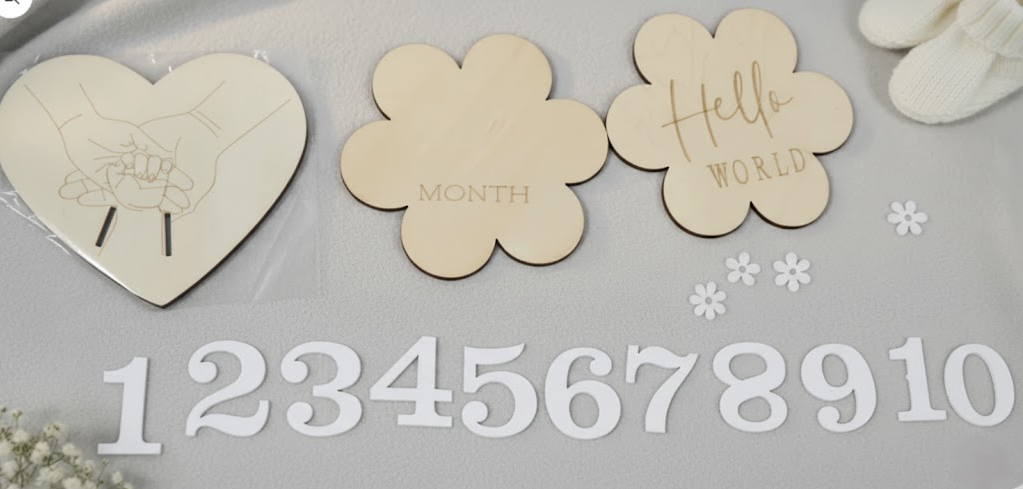 Baby Milestone Photo Marker Set